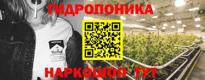 ПСИЛОЦИБИНОВЫЕ ГРИБЫ Донской